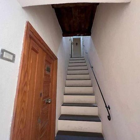 Suite Minerva 10 Steps From Piazza Civica Alghero Bagian luar foto
